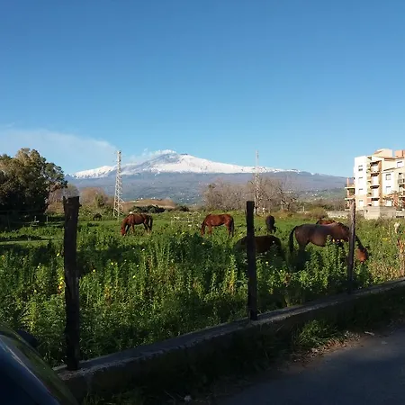 Daire Patry' House Giardini Naxos
