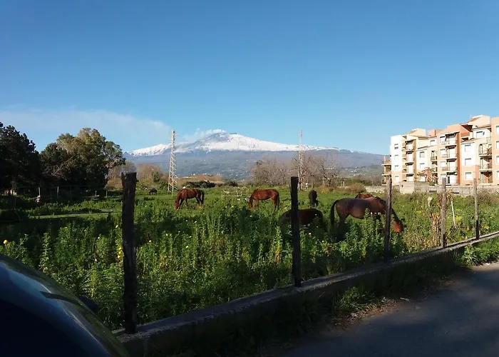 Apartament Patry' House Giardini-Naxos